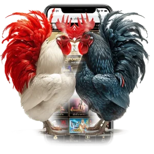 สัมผัสความมันส์จาก ไก่ชนออนไลน์ Play77 เกมพื้นบ้านในรูปแบบออนไลน์