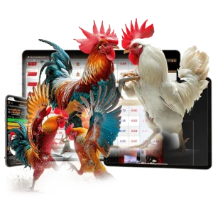 ข้อดีและข้อเสียของการเล่นไก่ชนออนไลน์กับ Play77